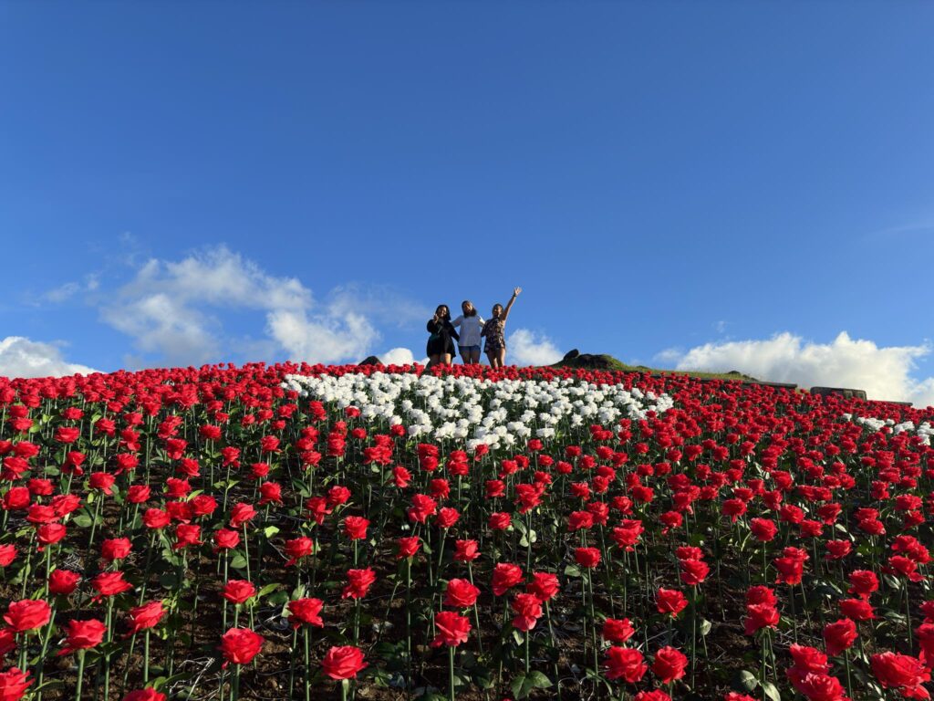 405846824_722033313189814_5072570562225065686_n