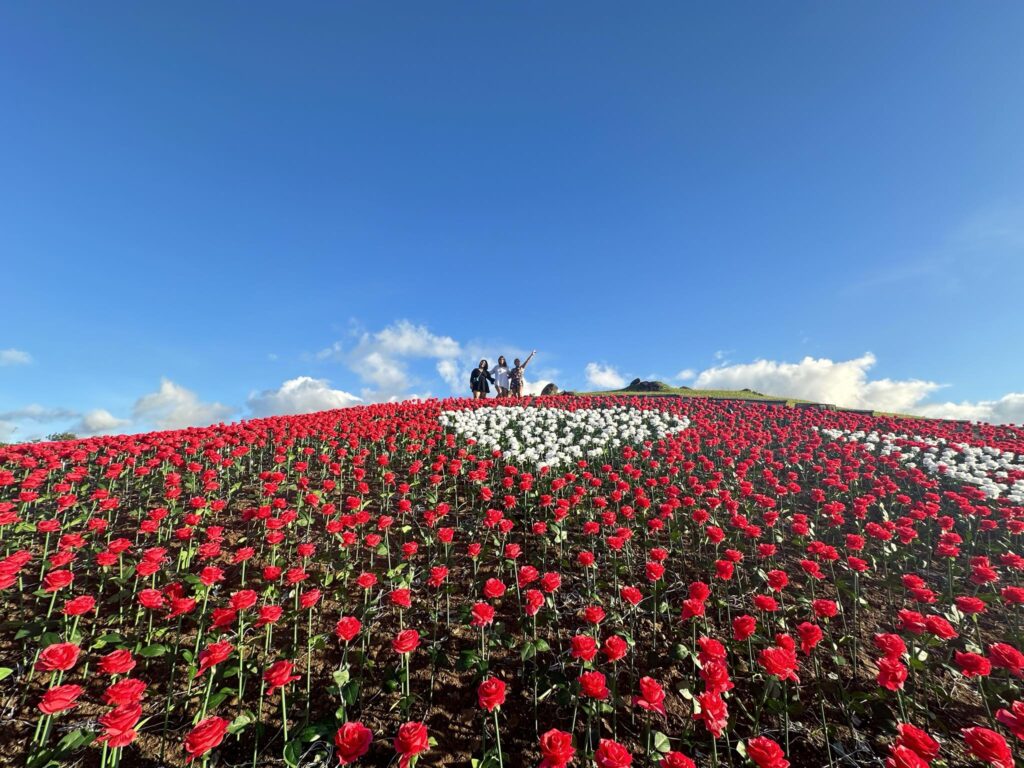 409551380_391058746609897_2464579301740101607_n