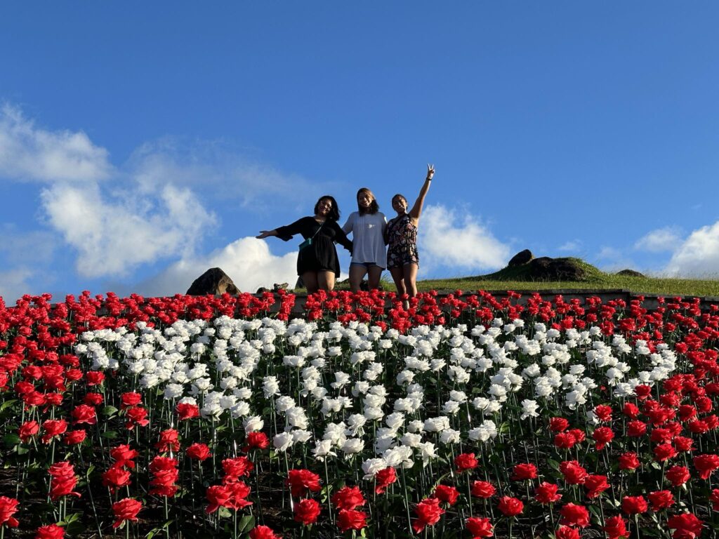 409560653_1345641329675026_8181539245696298798_n