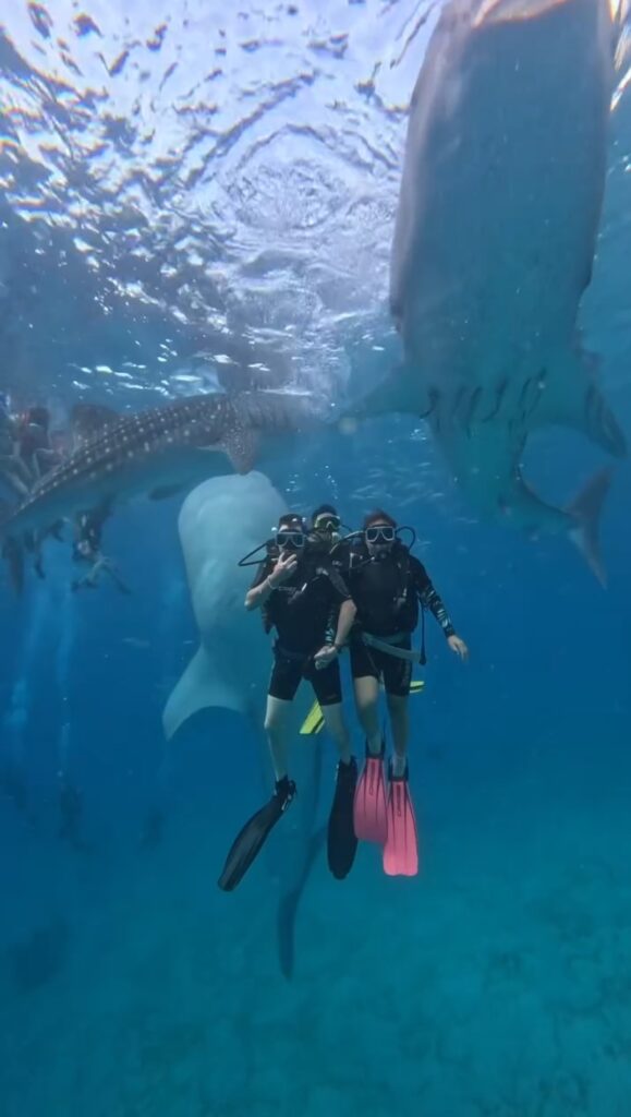 Screenshot_2023-11-30-08-06-13-12_965bbf4d18d205f782c6b8409c5773a4