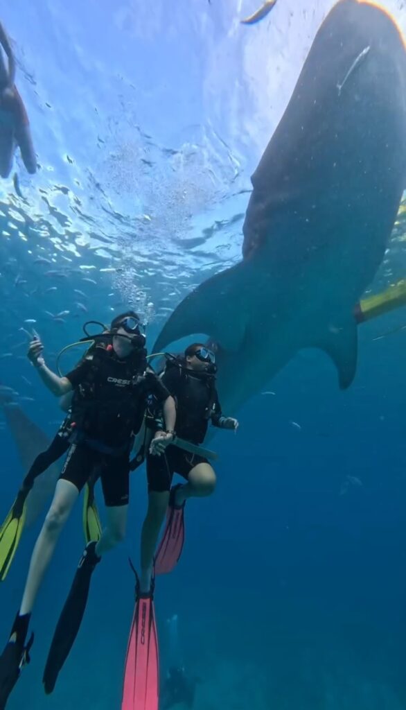 Screenshot_2023-11-30-08-07-48-84_965bbf4d18d205f782c6b8409c5773a4~2