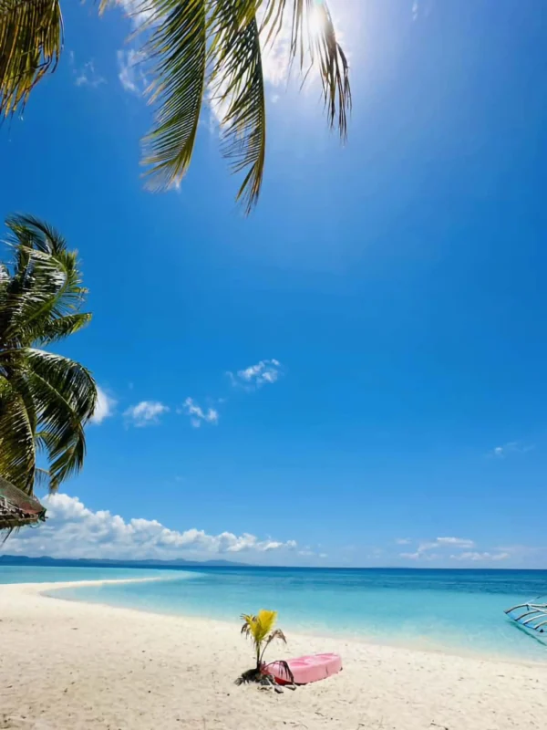 Kalanggaman Overnight 4 Meals with Land Transfer